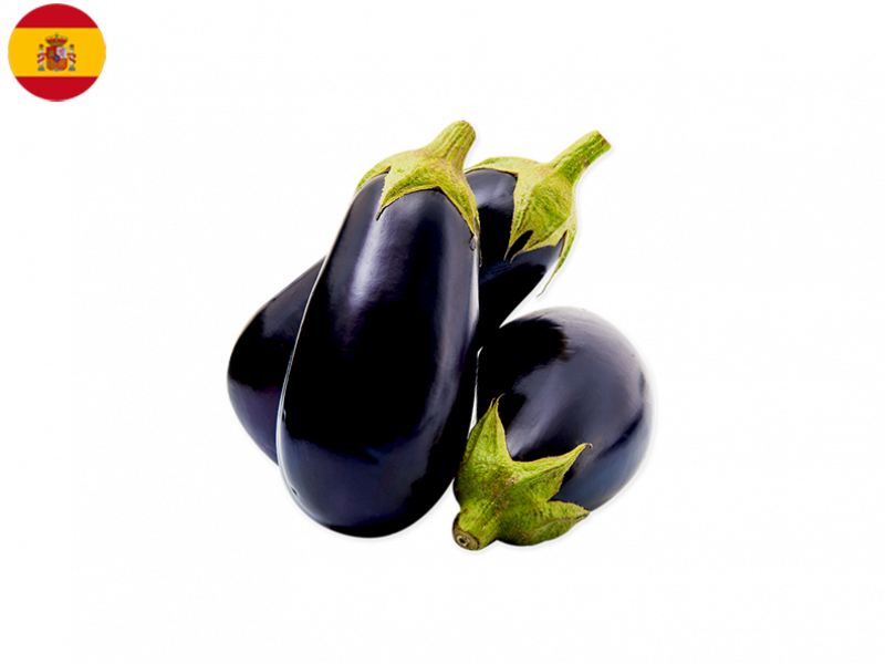 Oval_Violet_Eggplant_FEGG02