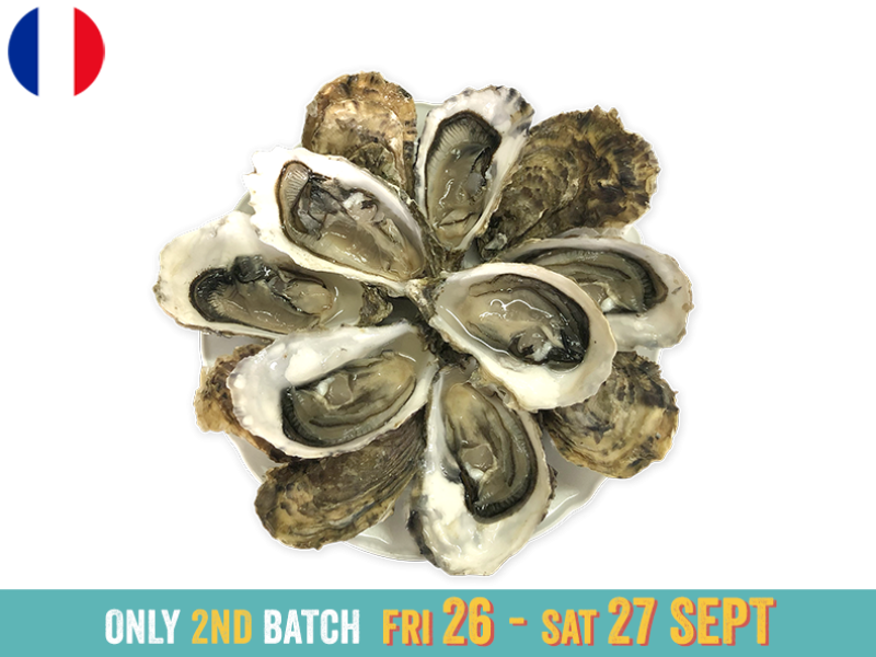 Oysters_Fine_de_Claire_Marennes_Olerons_N°2 (x12)_SOYST10