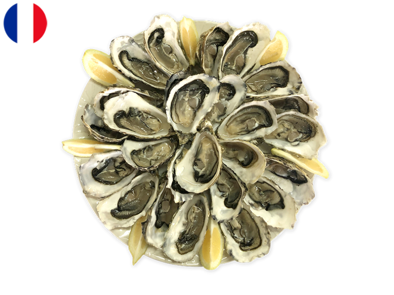 Oysters_Fines_de_Claire_Marennes_Olerons_N°3_x48_SOYST16