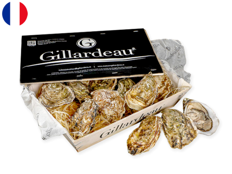 Oysters_Gillardeau_N°2 (x24)_SOYST08