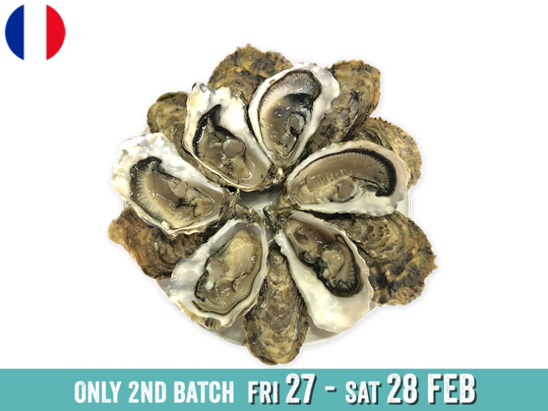 Oysters_Spéciales_Jérôme_Miet_N°2_x12_2ND BATCH_SOYST04
