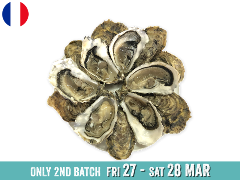 Oysters_Spéciales_Jérôme_Miet_N°2_x12_2ND B_SOYST04
