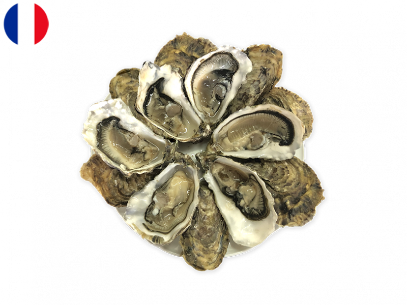Oysters_Spéciales_Jérôme_Miet_N°2_x12_SOYST04 (1)
