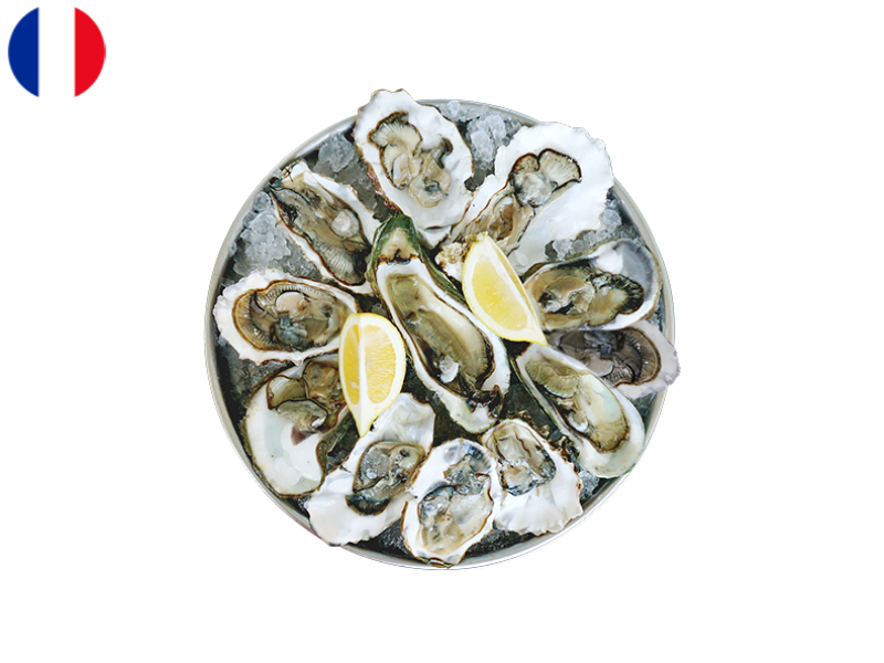 Oysters_from_Normandy N°3 (x12)_SOYST11