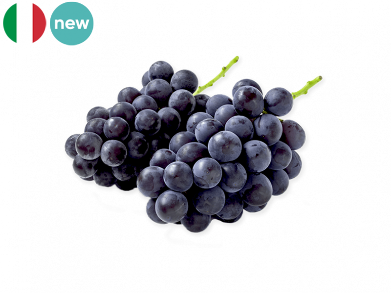 PALIERI_BLACK_GRAPE_NEW_FGRAP18 (1)