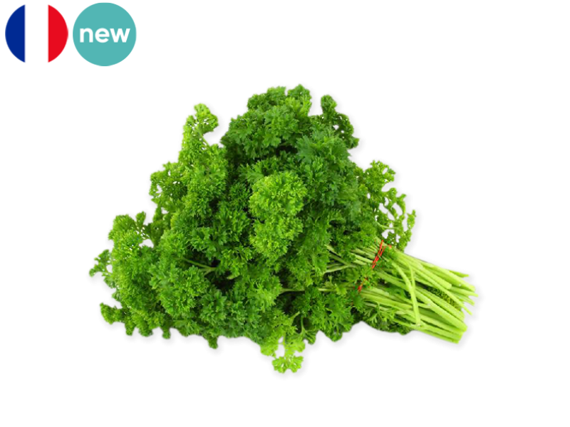 Parsley_Curly_FPARS04
