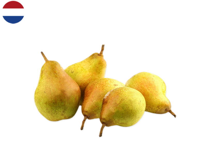 Pear_Comice_Netherlands_FPEAR21