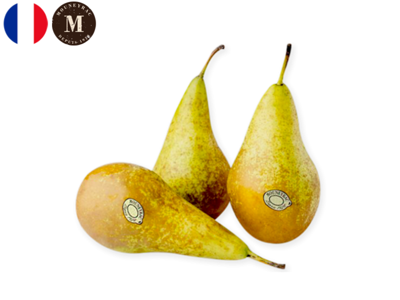 Pear_Conference_France_Mouneyrac_FPEAR28