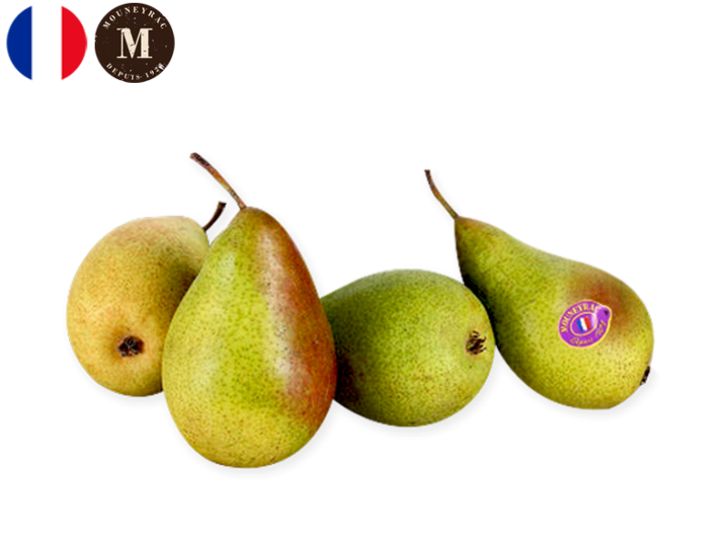 Pear_Louise_Bonne_ Mouneyrac_FPEAR30