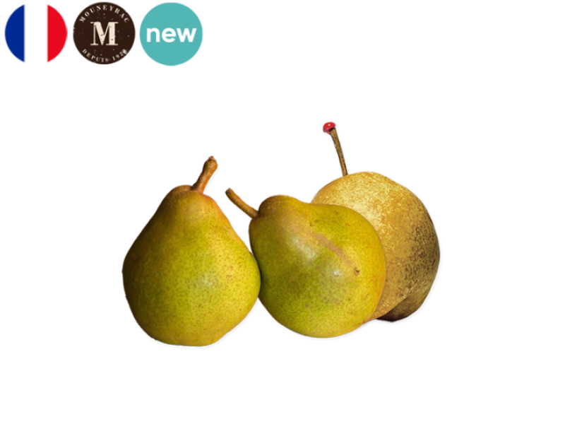 Pear_Passe_Crassane_France_Mouneyrac_FPEAR31