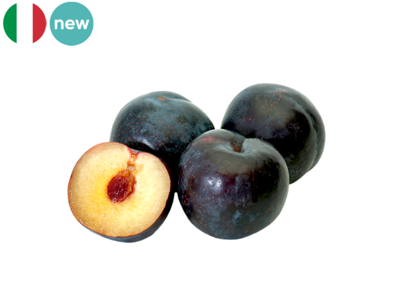 Plum_Angeleno_FPLUM26