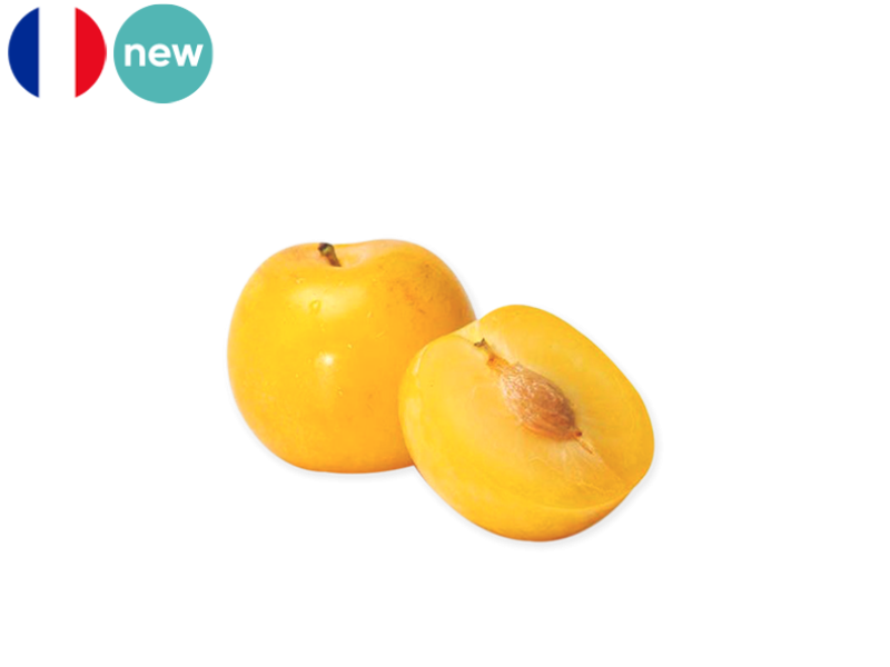 Plum_Golden_Japan_from_France_Organic_FPLUM18