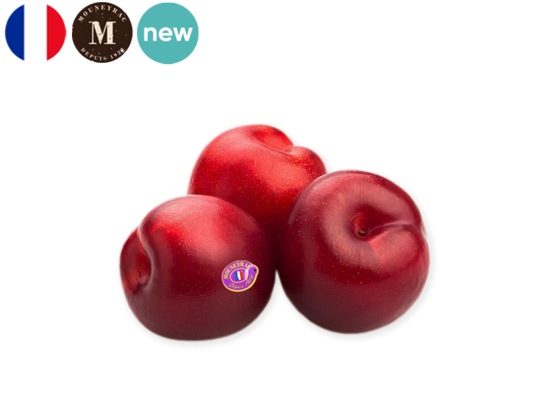 Plum_Red_France_Mouneyrac_FPLUM25