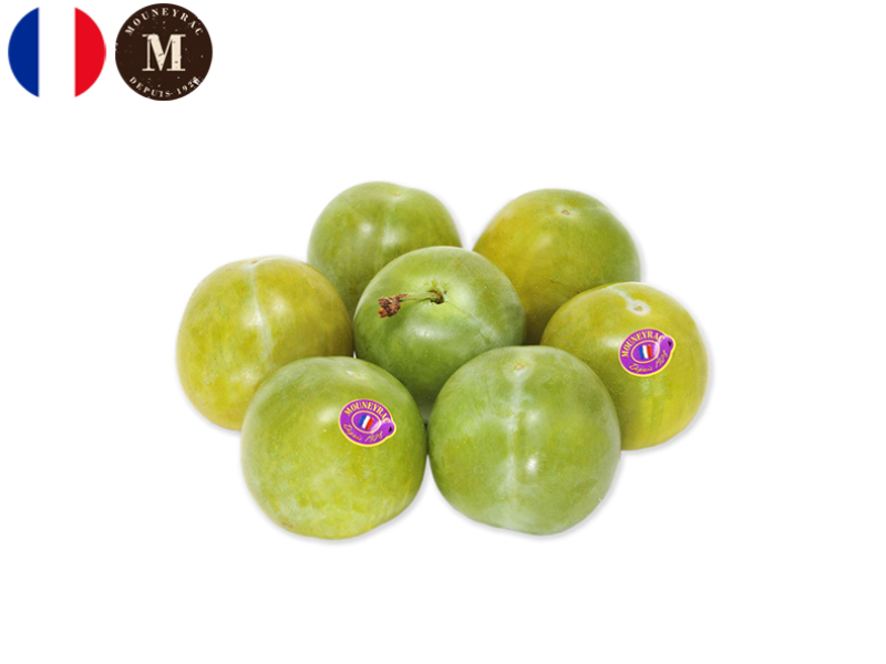 Plum_Reine_Claude_France_Mouneyrac_FPLUM23