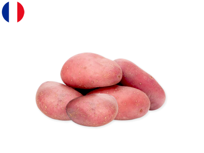 Potato_Cherie_FPOTA49