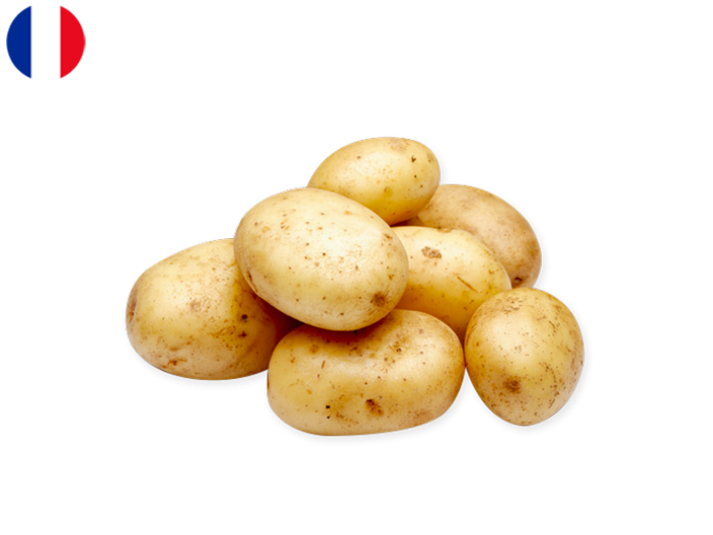 Potato_Maiwen_FPOTA44