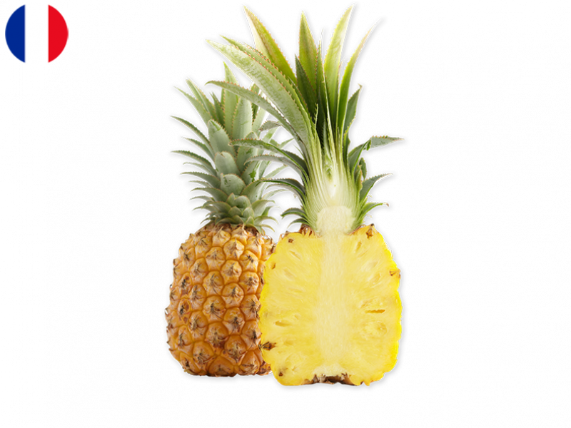 QUEEN_VICTORIA_PINEAPPLE_FPINE01 (1)