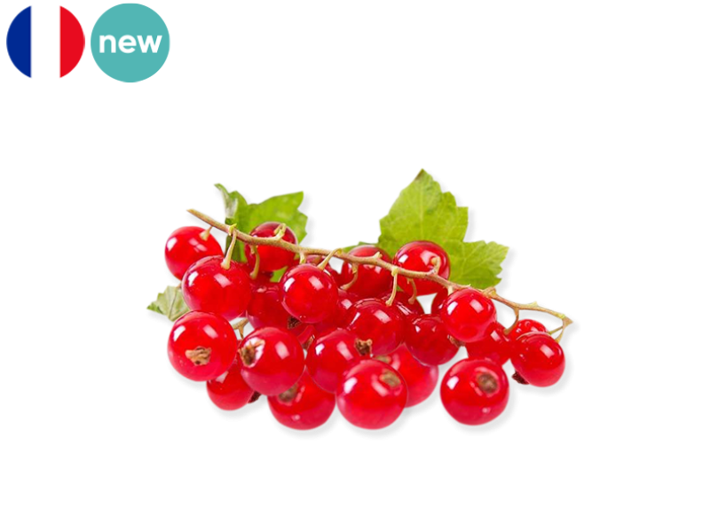 RED_CURRANT_FBERR01
