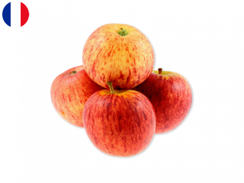 REINE_DES_REINETTES_APPLE_FAPPL13