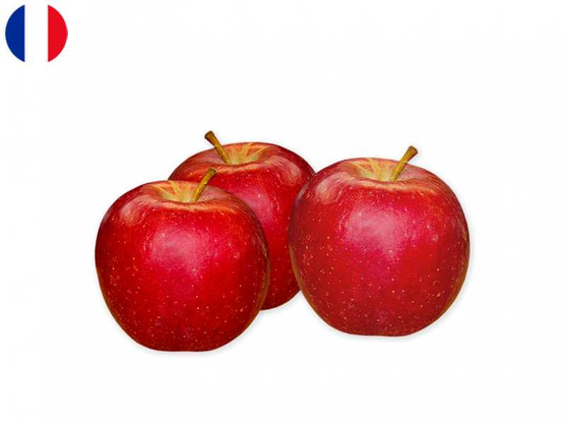 ROUGELLE_APPLE_FAPPL12