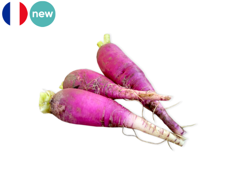 Radish_Long_Blue_FRADI11