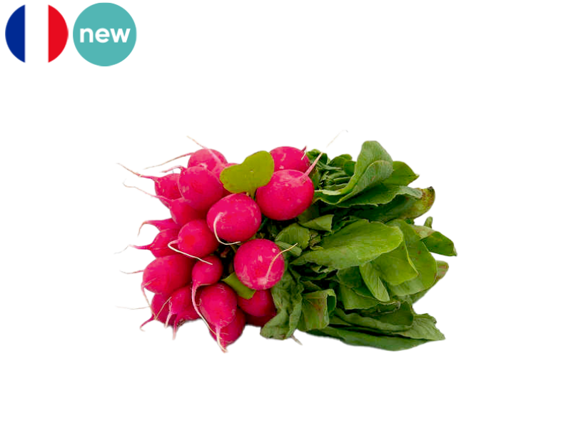 Radish_Red_Round_from_France_Organic_FRADI10