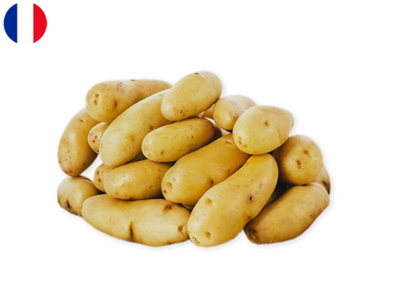 Ratte_du_Touquet_Potatoes_FPOTA19