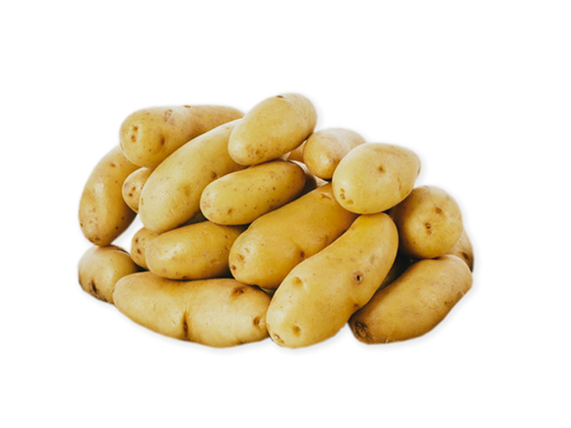 Ratte_du_Touquet_Potatoes_FPOTA19