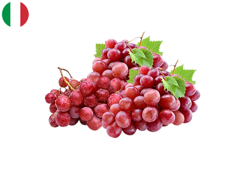 Red_Globe_Grape_FGRAP26