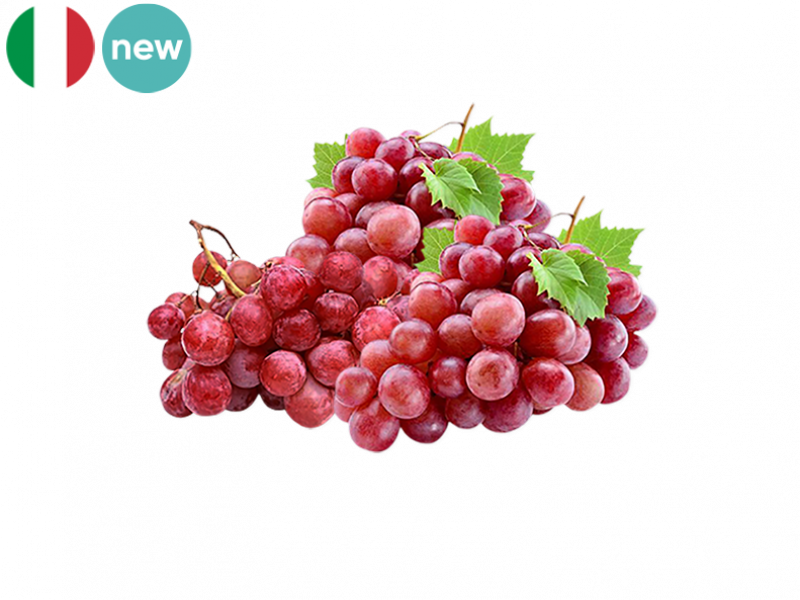 Red_Globe_Grape_New_FGRAP26