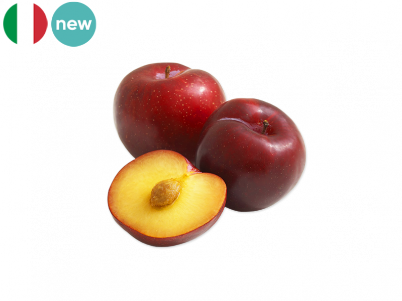 Red_Stanley_Plum_New_FPLUM16