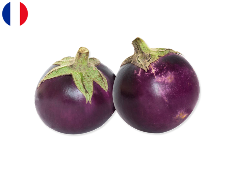 Round_Violet_Eggplant_FEGG08