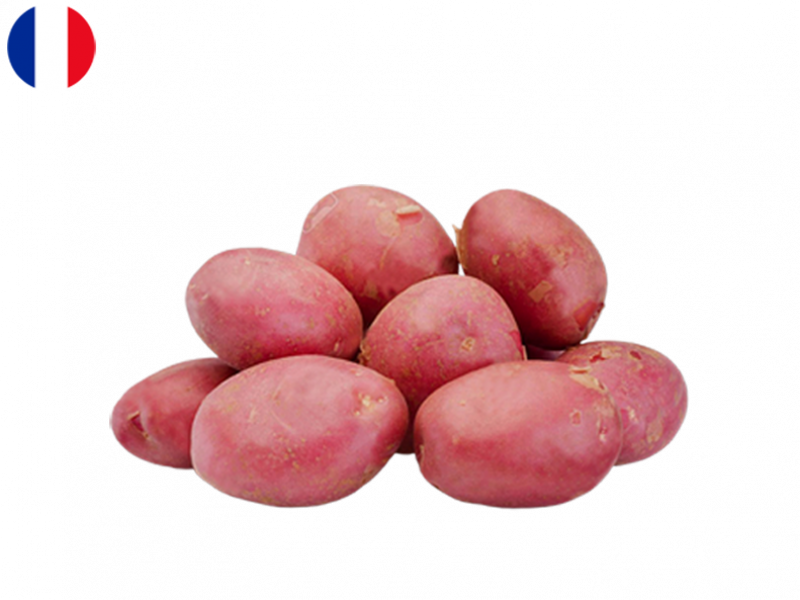 Rubis_Potato_from_Batz_Island_FPOTA06