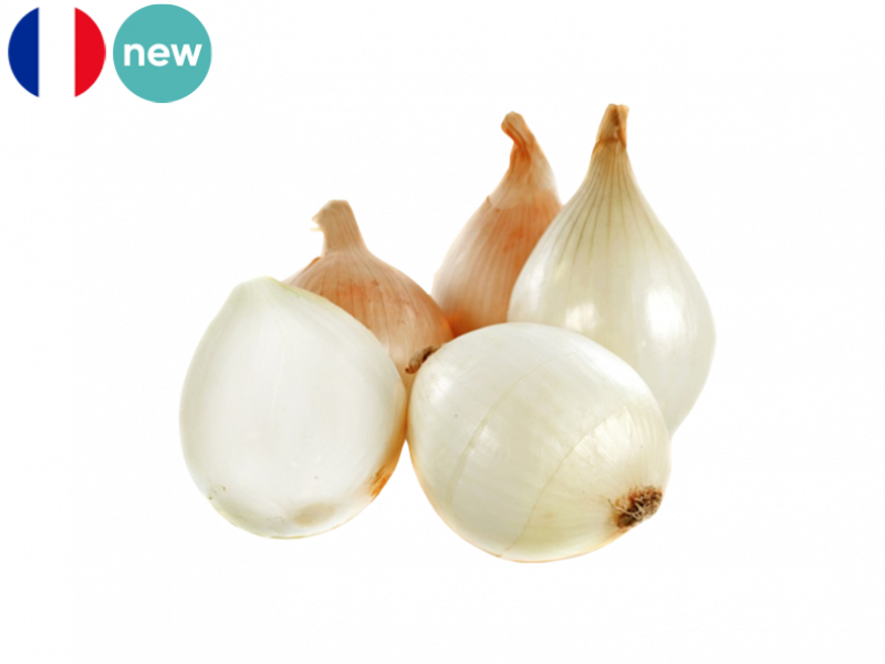 SWEET_ONION_FROM_CEVENNES_NEW_FONIO06