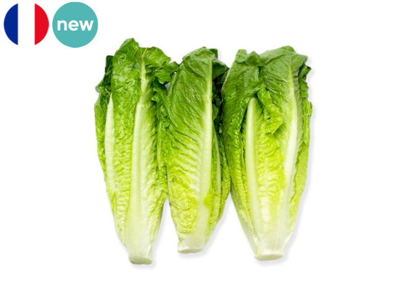 Salad_Romaine_FSALA12