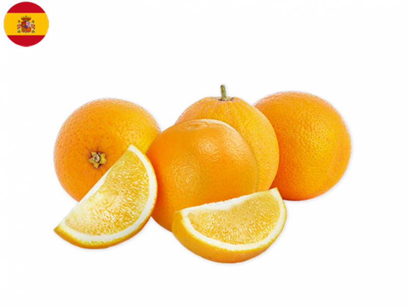 Salustiana_Orange_FORAN12