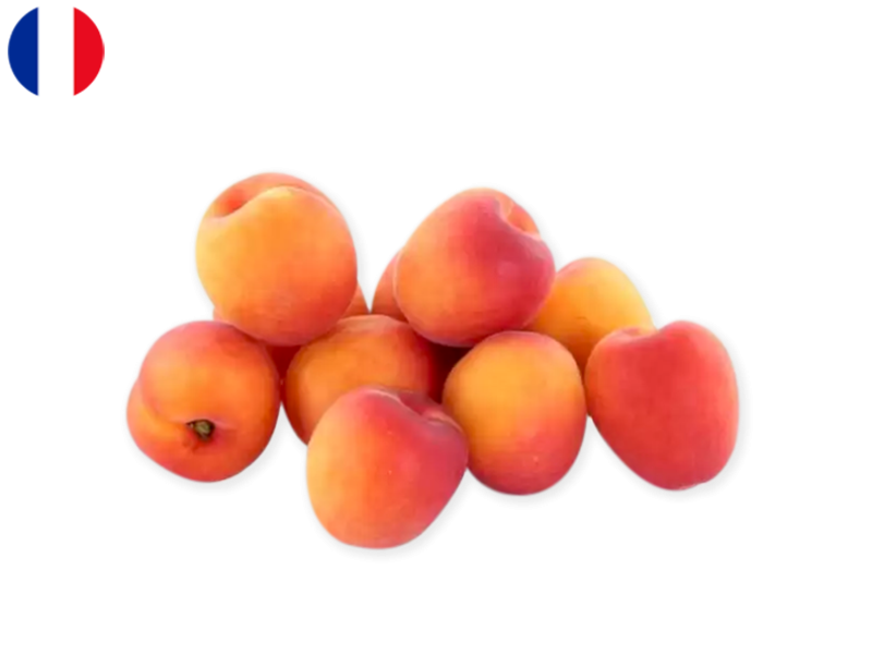 Samurai_Apricot_France_FAPRI20