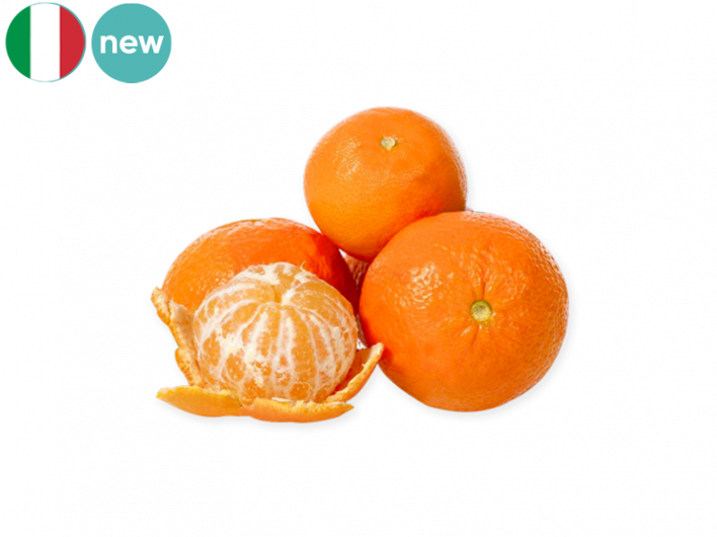 Satsuma_Mandarin_new_FMAND10