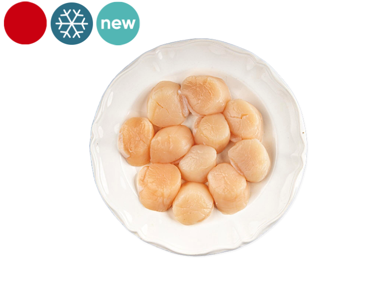 Scallop_Meat_without_Coral_frozen_Japan_SSCAL05