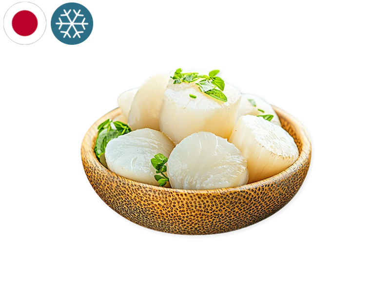 Scallop_Meat_without_Coral_frozen_Japan_SSCAL05
