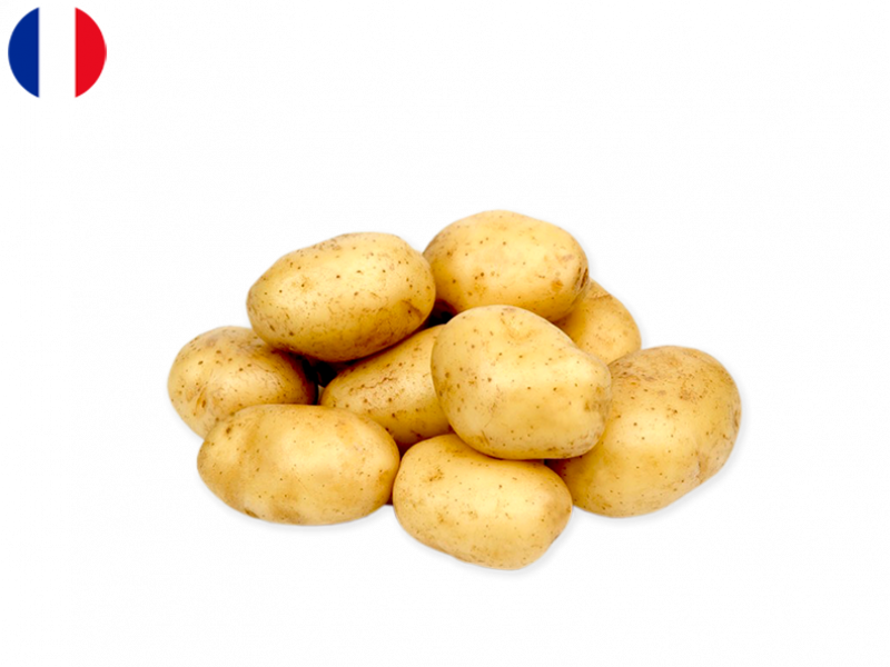 Seaside_potato_FPOTA20