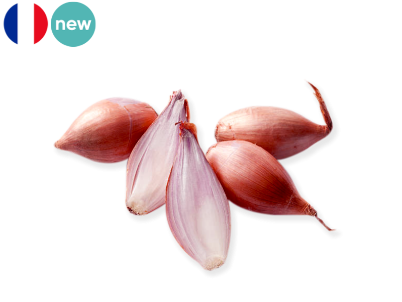 Shallot_Long_France_FSHAL07