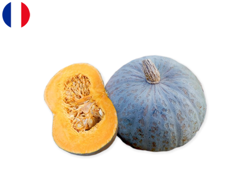 Squash_Blue_France_FSQUA16