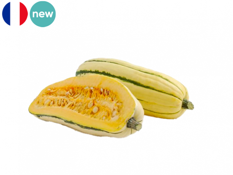 Squash_Delicata_from_France_(Organic)_FSQUA10
