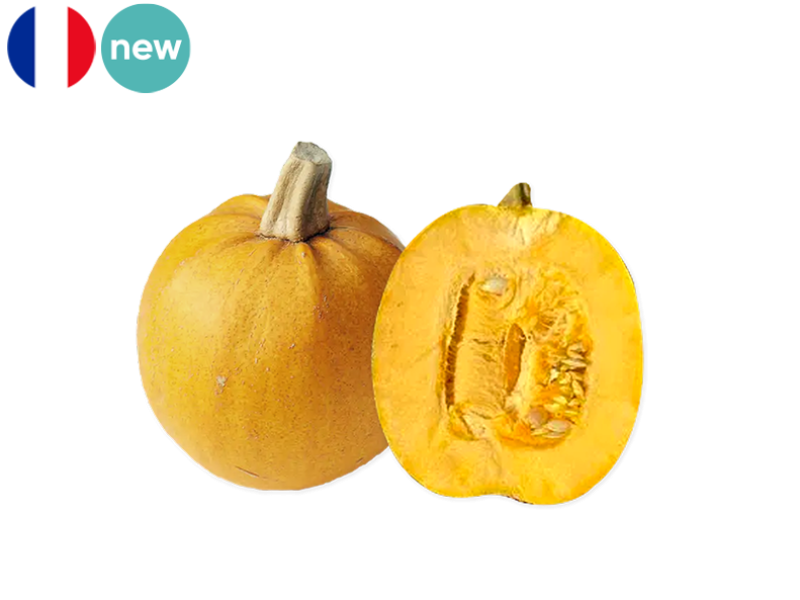 Squash_Jaspée_de_Vendée_FSQUA18