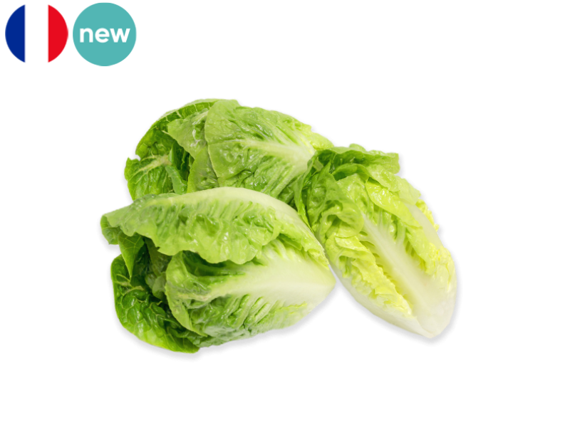 Sucrine_Salad_France_FSALA15