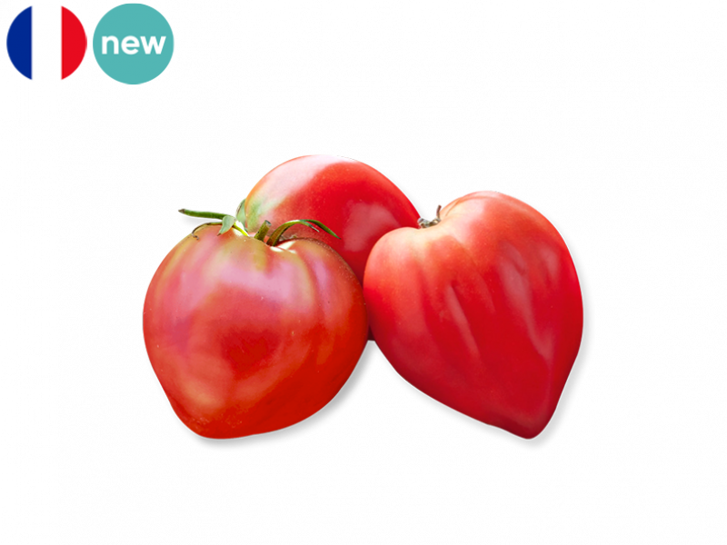 TOMATO_OX_HEART_NEW_FTOMA13