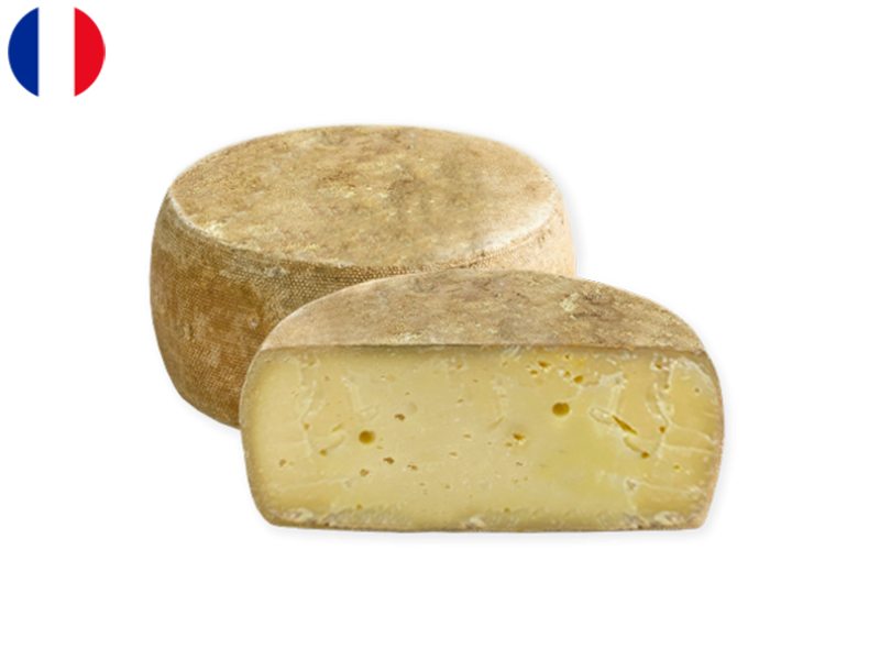 Templais_Fleuron_CTEMP01