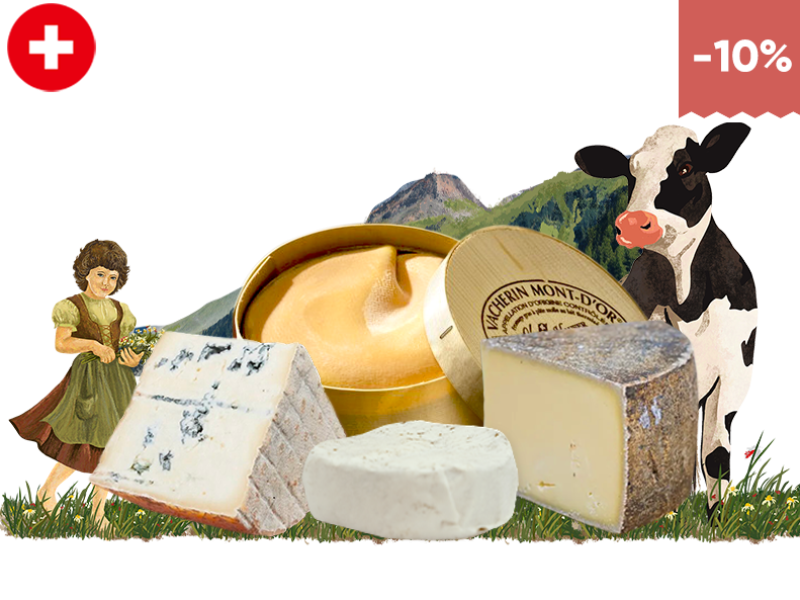 The Swiss Cheese Platter 2025 11_PPLAT19