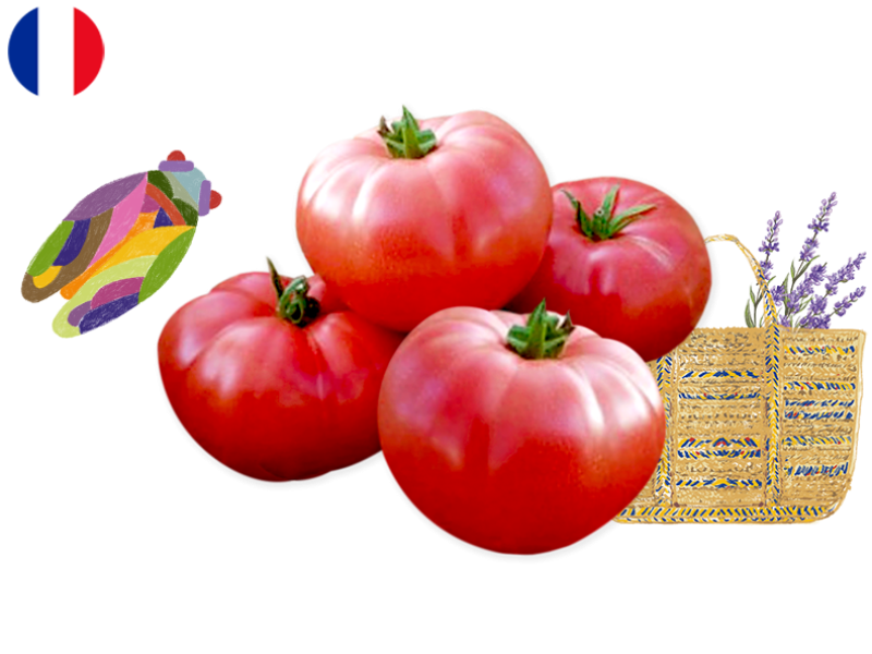 Tomato_Generose_from_France_Organic_FTOMA26